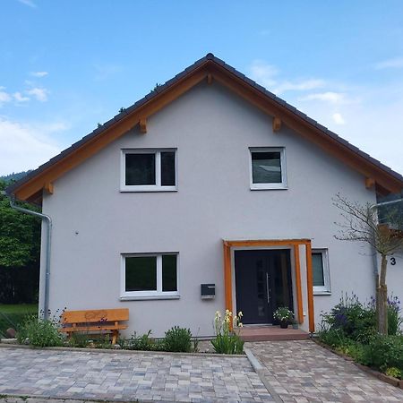 Fewo Am Neckarsteig Mit Anbindung An Heidelberg Neckarsteinach Eksteriør billede