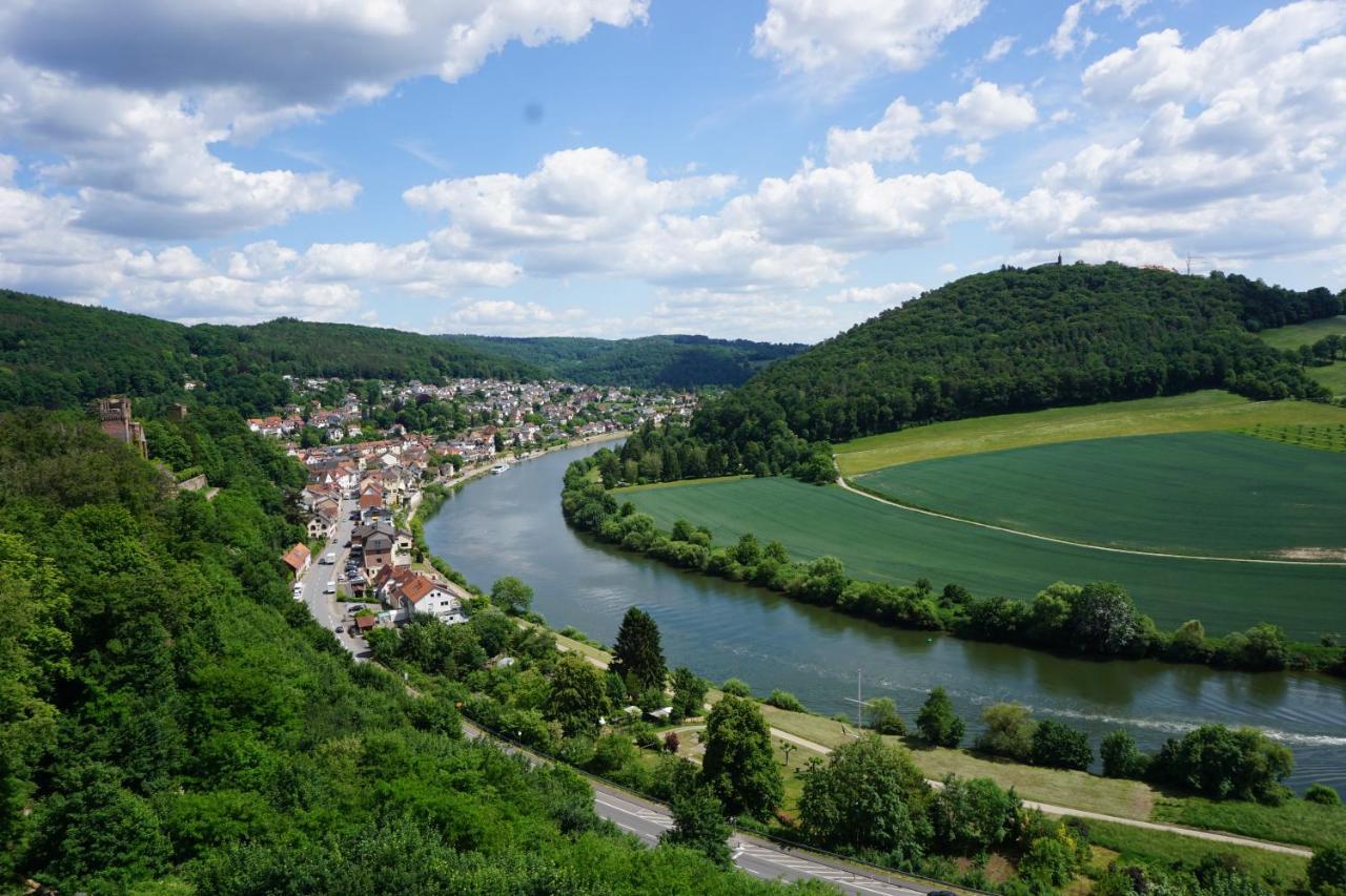 Fewo Am Neckarsteig Mit Anbindung An Heidelberg Neckarsteinach Eksteriør billede