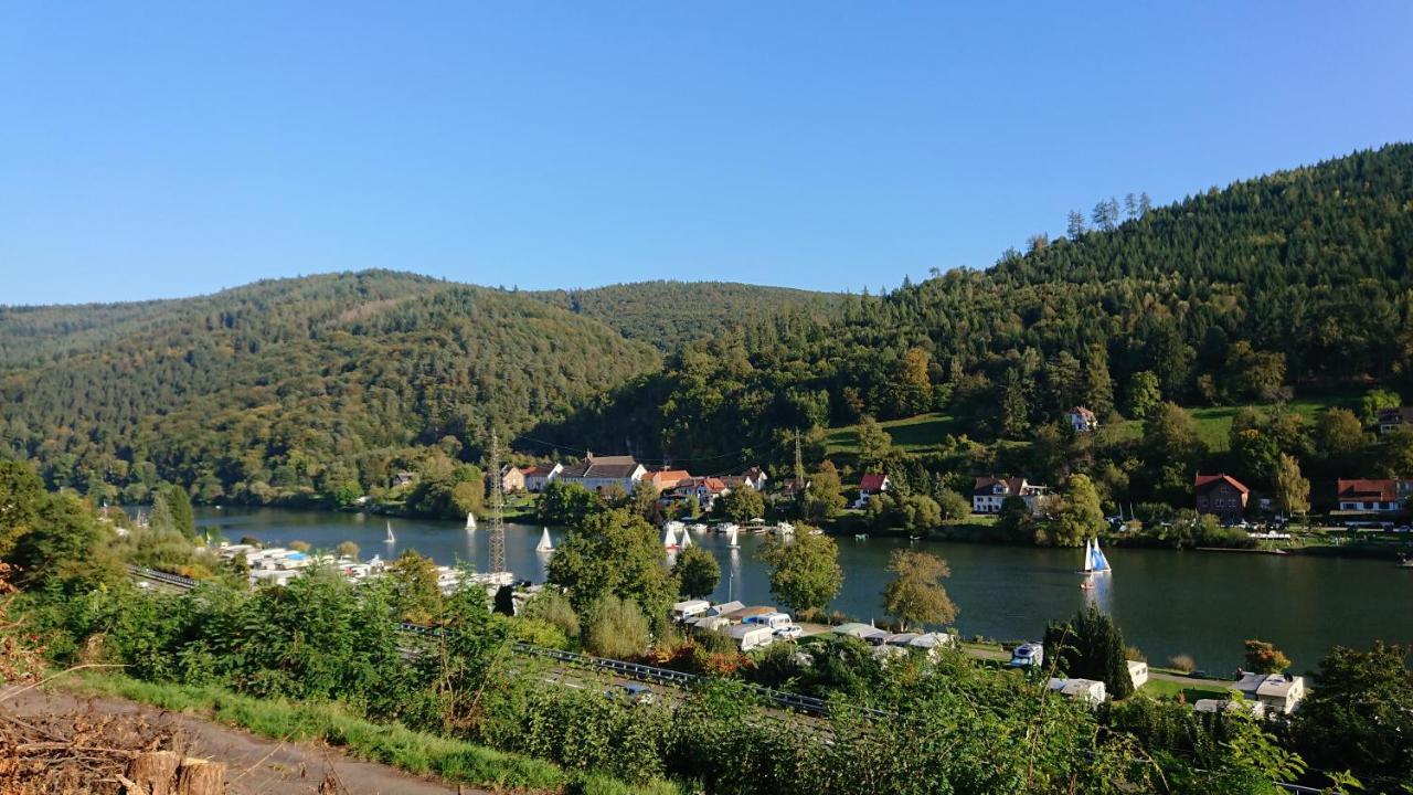 Fewo Am Neckarsteig Mit Anbindung An Heidelberg Neckarsteinach Eksteriør billede