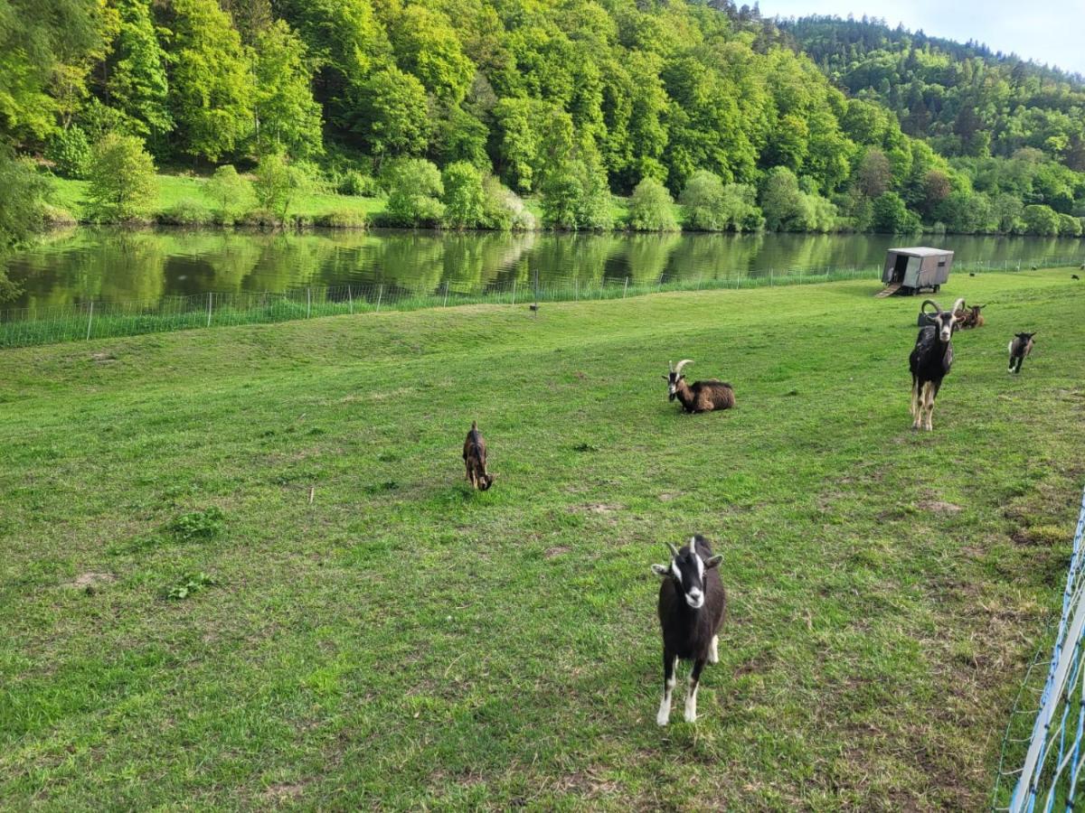 Fewo Am Neckarsteig Mit Anbindung An Heidelberg Neckarsteinach Eksteriør billede